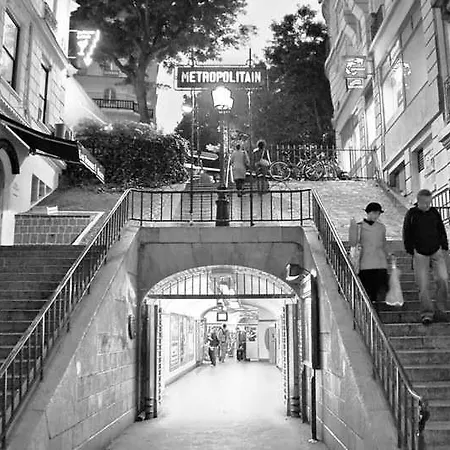 Boronali 3* Parigi